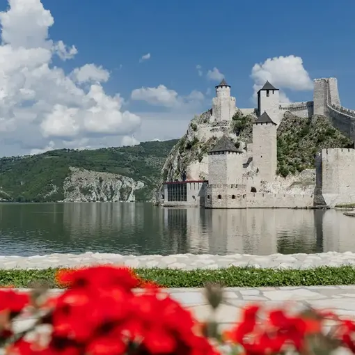 Golubac