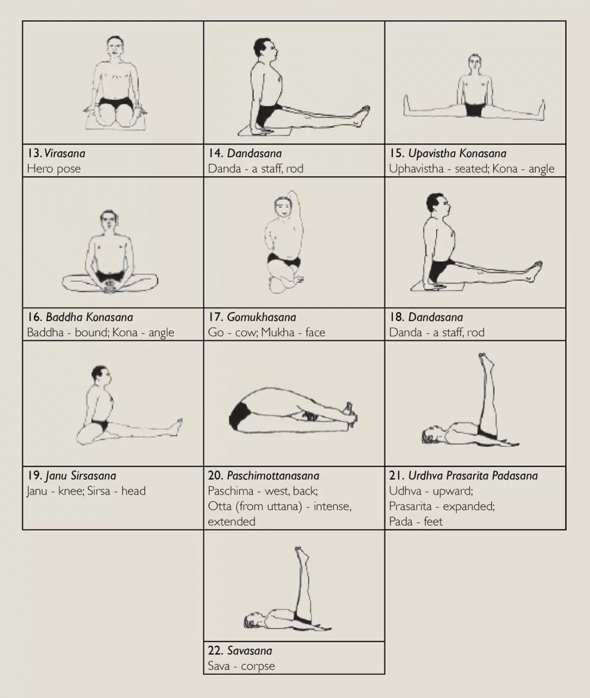 Iyengar joga asane 2 deo